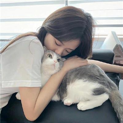 情深缘起 在线观看